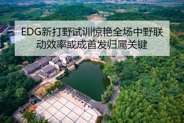 EDG新打野试训惊艳全场中野联动效率或成首发归属关键